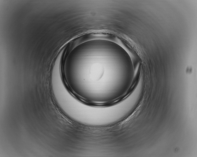 X0000097991361200803241332