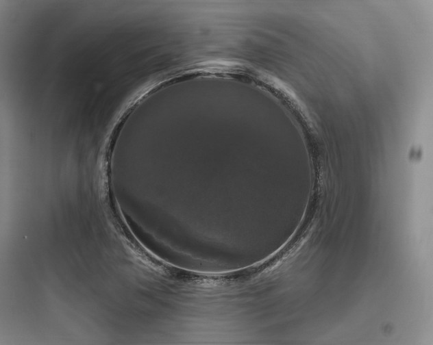 X0000097991362200803241332