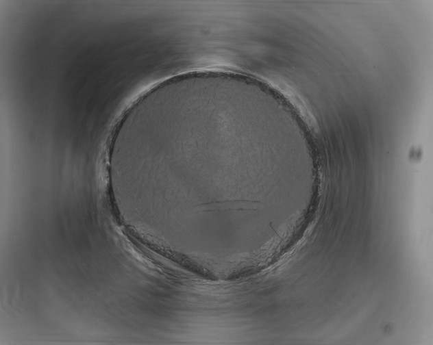 X0000097991363200803241332