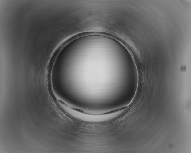 X0000097991364200803241332