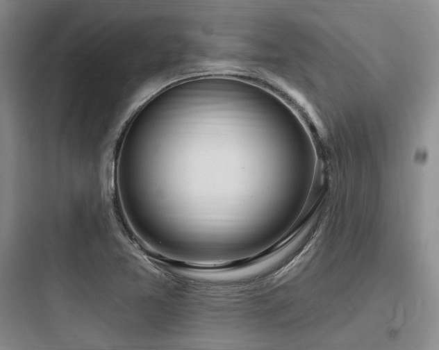 X0000097991365200803241332