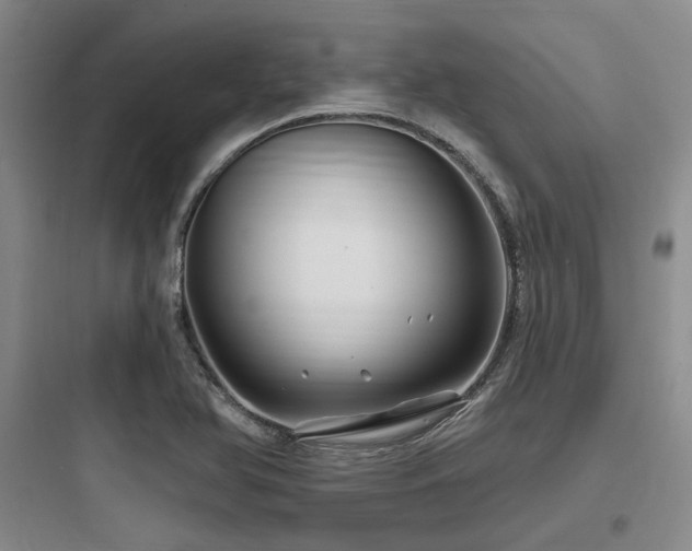 X0000097991366200803241332