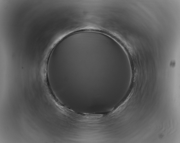 X0000097991367200803241332