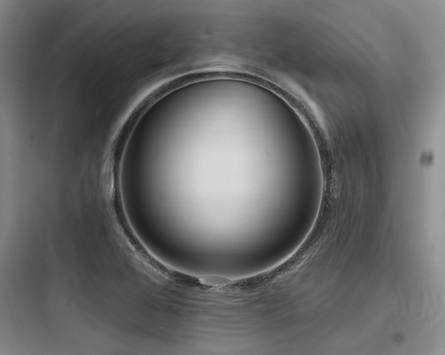 X0000097991368200803241332