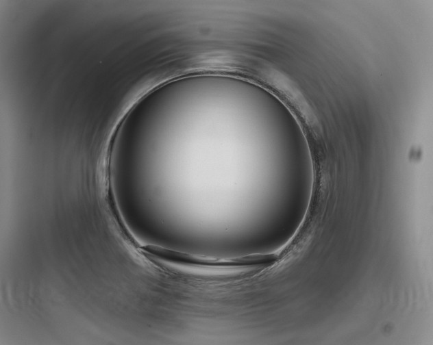 X0000097991370200803241332