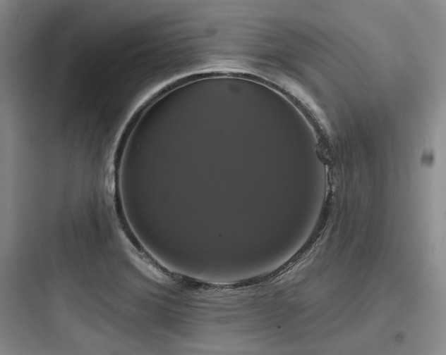 X0000097991372200803241332