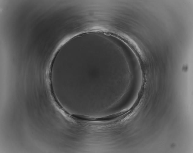 X0000097991373200803241332