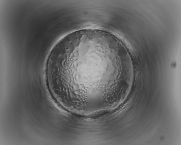 X0000097991375200803241332