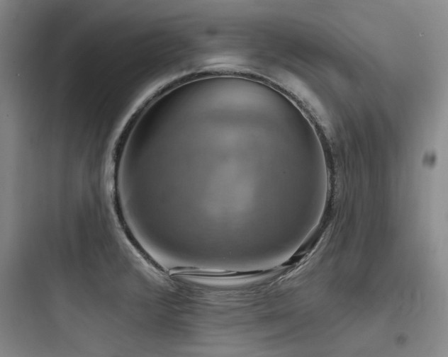 X0000097991376200803241332
