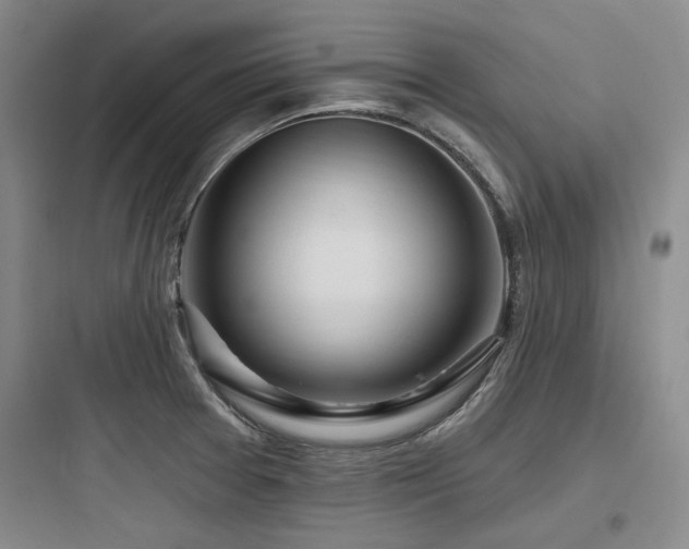 X0000097991377200803241332
