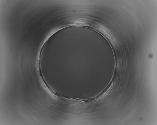 X0000097991378200803241332