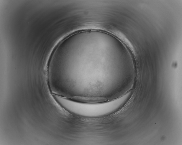X0000097991380200803241332