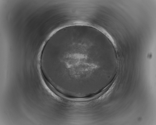 X0000097991381200803241332