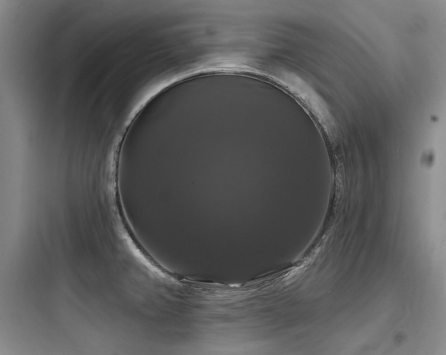 X0000097991382200803241331