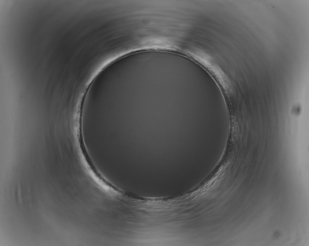 X0000097991383200803241331