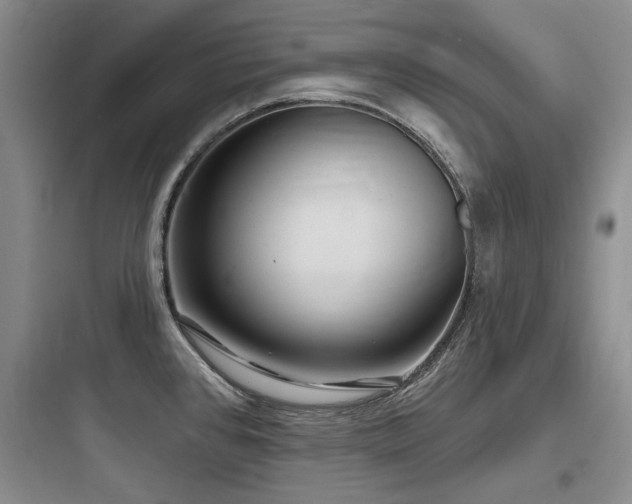 X0000097991384200803241331