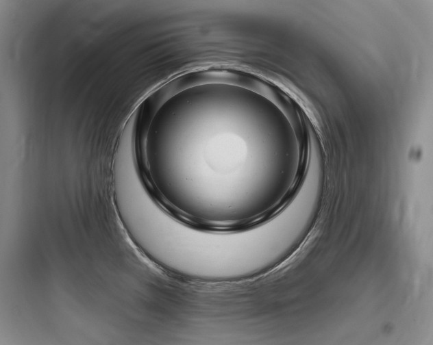 X0000097991385200803241331