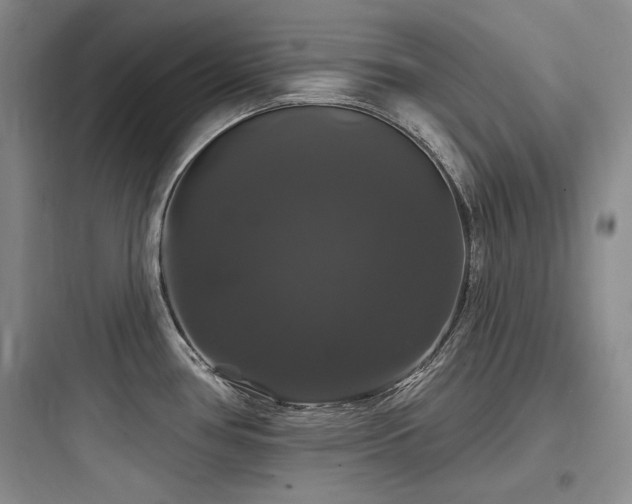X0000097991386200803241331