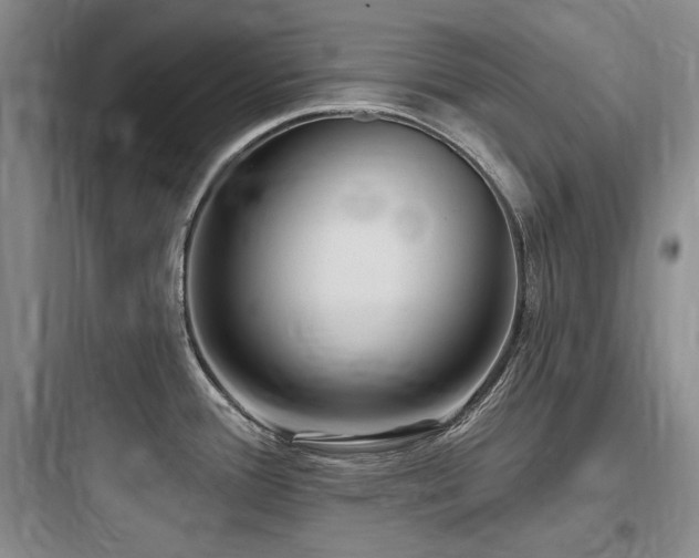 X0000097991388200803241331