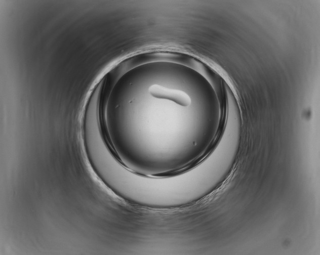 X0000097991389200803241331