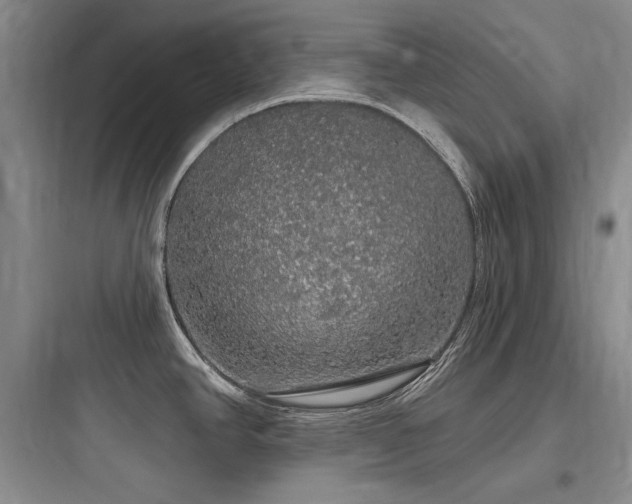 X0000097991390200803241331