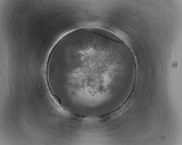 X0000097991392200803241331