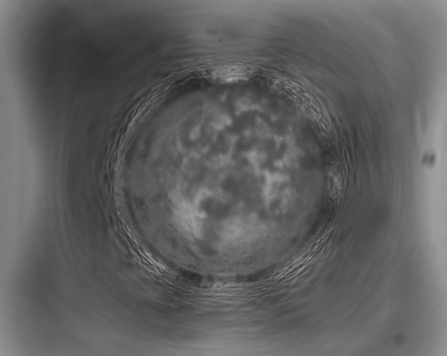 X0000097991393200803241331