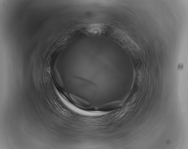 X0000097991394200803241331