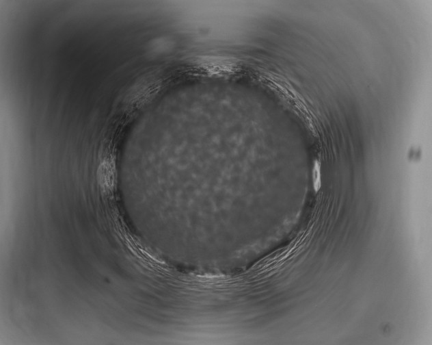X0000097991395200803241331