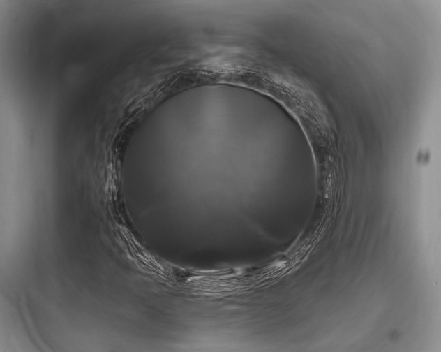 X0000097991397200803241331