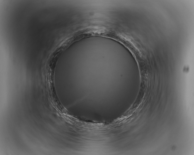 X0000097991399200803241331
