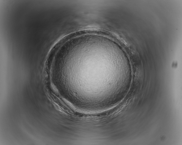 X0000097991400200803241331