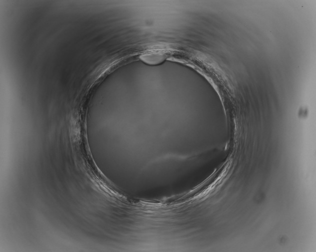 X0000097991401200803241331