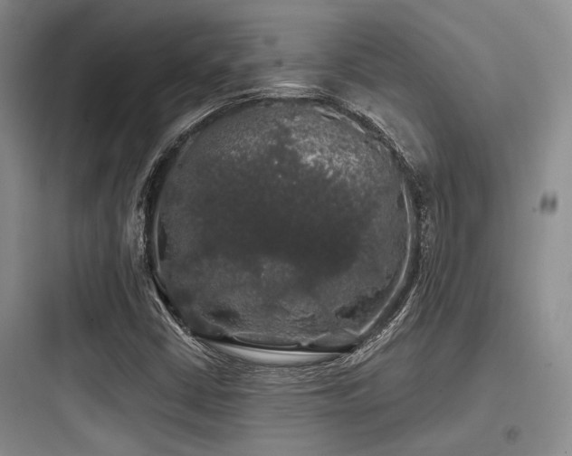 X0000097991402200803241331