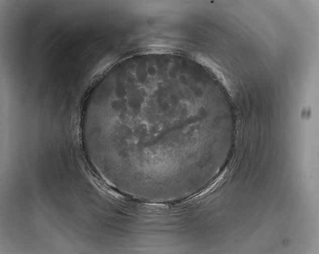 X0000097991403200803241331
