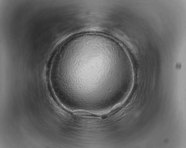 X0000097991404200803241331
