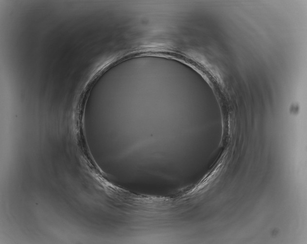 X0000097991405200803241331