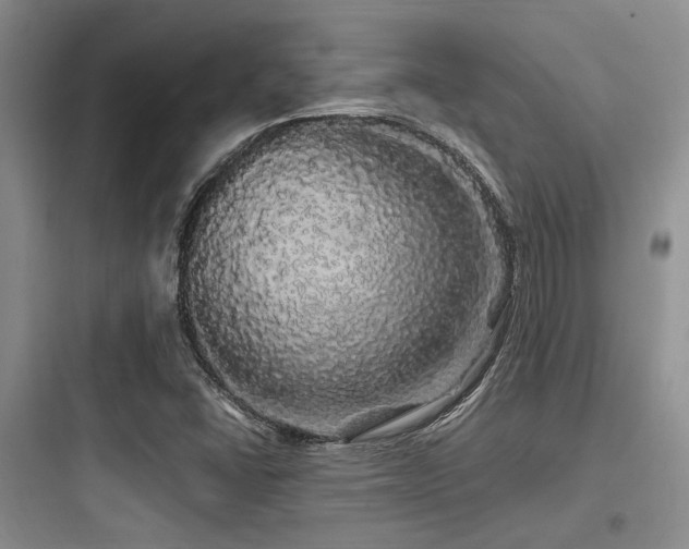 X0000097991406200803241331