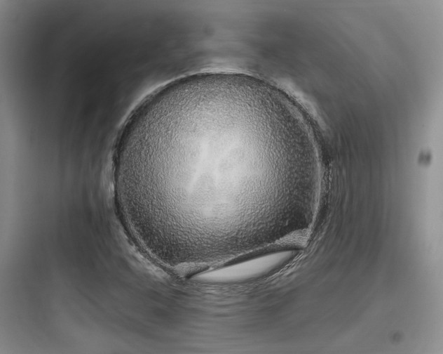 X0000097991408200803241331