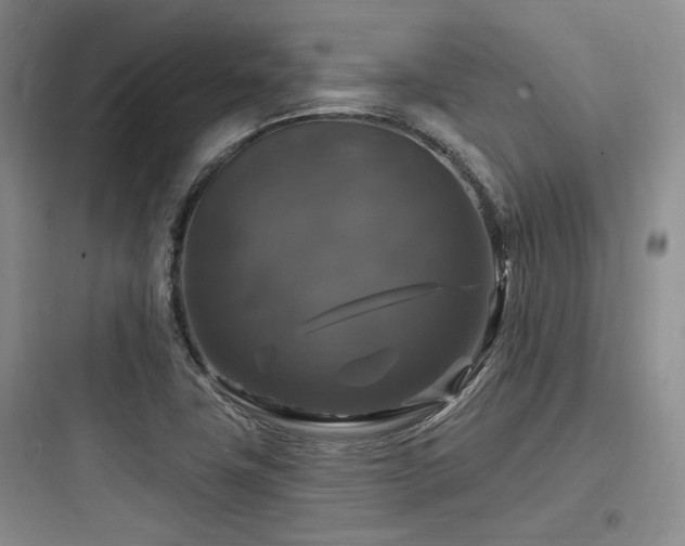 X0000097991411200803241331