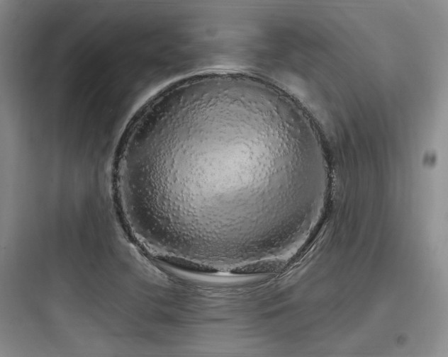 X0000097991412200803241331