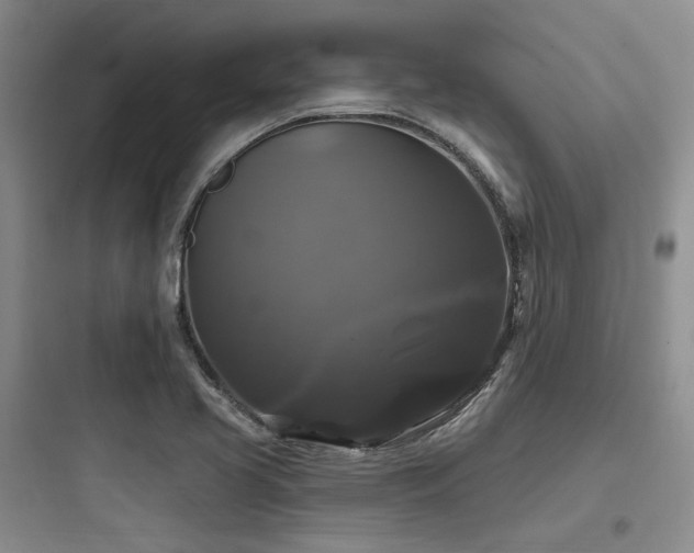 X0000097991413200803241331