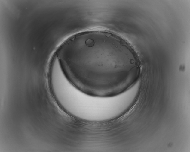 X0000097991414200803241331