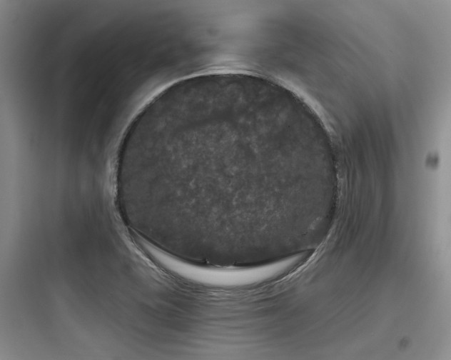 X0000097991415200803241331