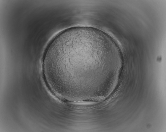 X0000097991416200803241331