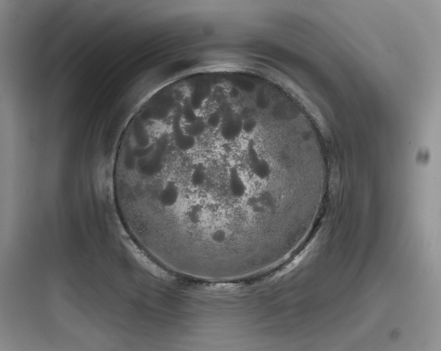 X0000097991417200803241331