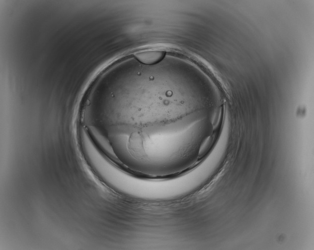 X0000097991418200803241331