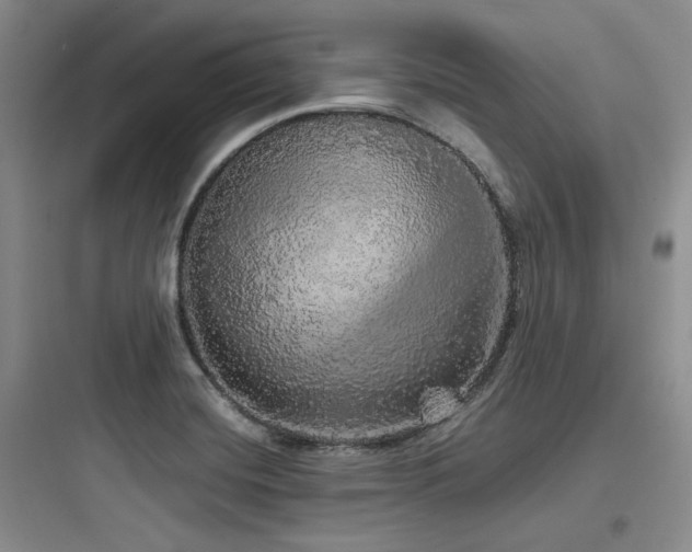 X0000097991420200803241331