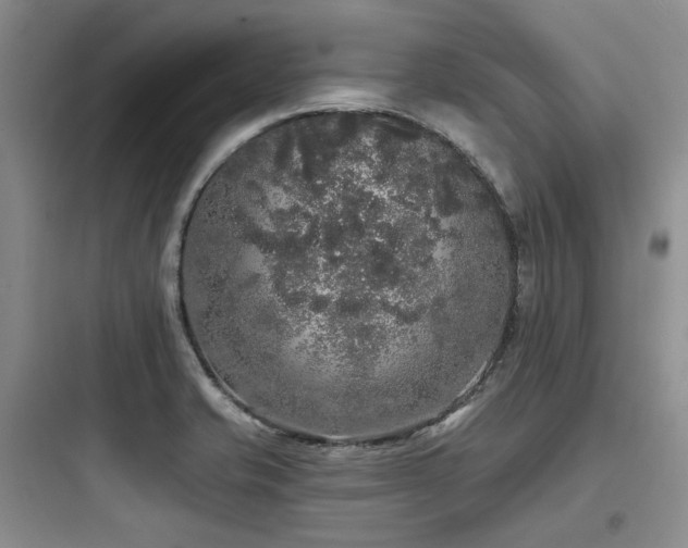 X0000097991421200803241331