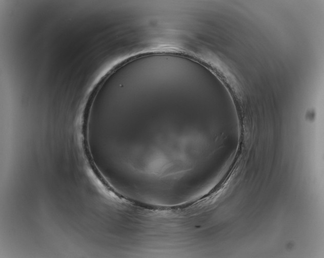 X0000097991422200803241331